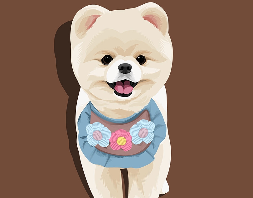 Vector-Sketch-of-Fluffball