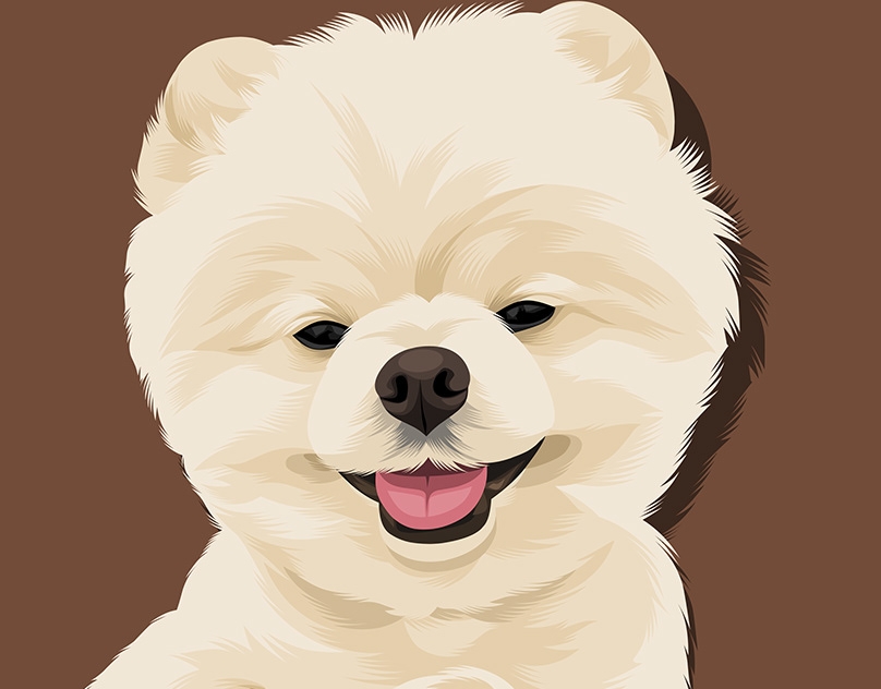 Vector-Sketch-of-Fluffy