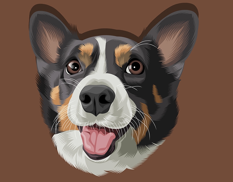 Vector-Sketch-of-Frankie