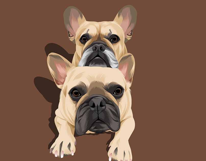 Vector-Sketch-of-Griffin