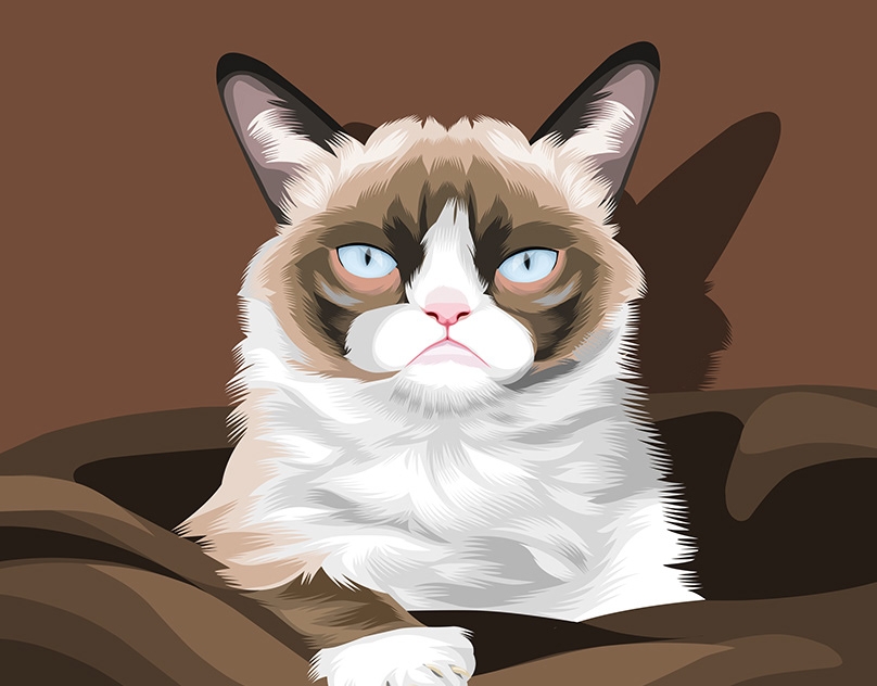Vector-Sketch-of-Grumpy-Cat
