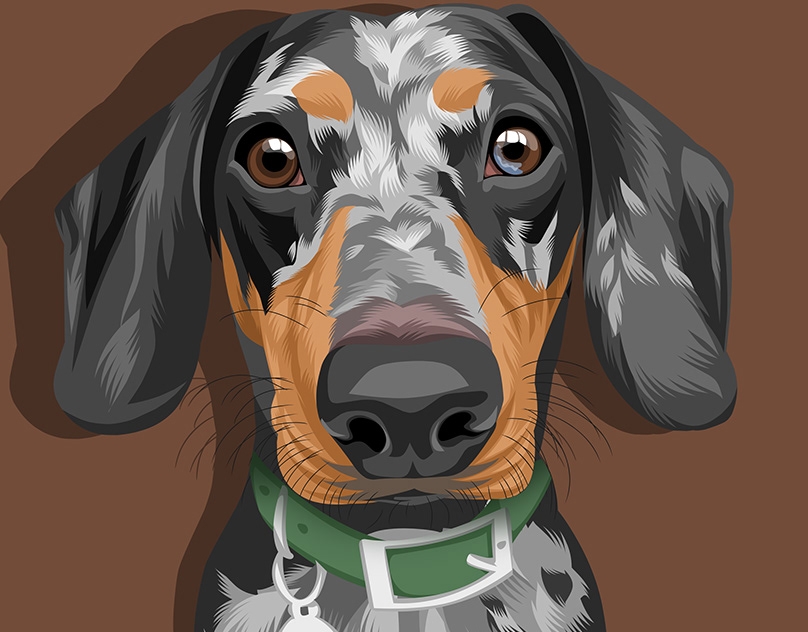 Vector-Sketch-of-Hadley