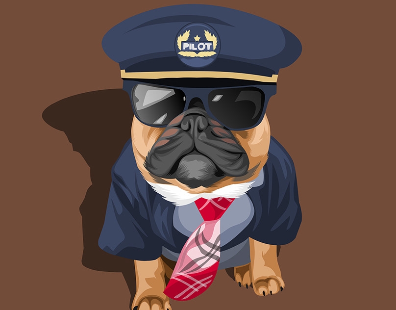 Vector-Sketch-of-Hank