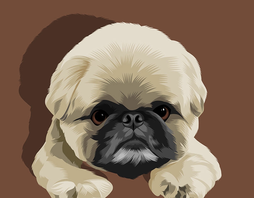 Vector-Sketch-of-Ibuki