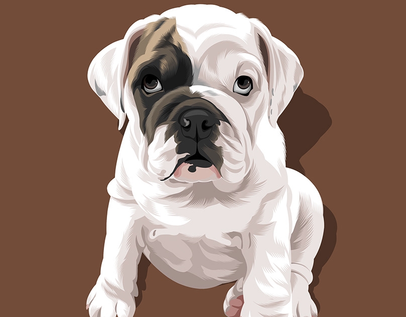 Vector-Sketch-of-Igloo