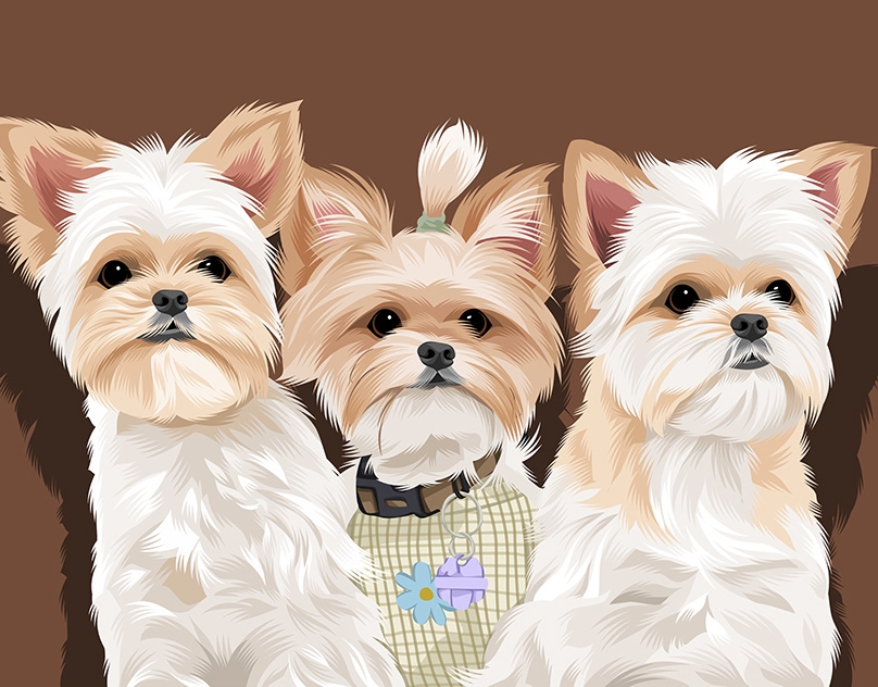 Vector-Sketch-of-Indie-Crew