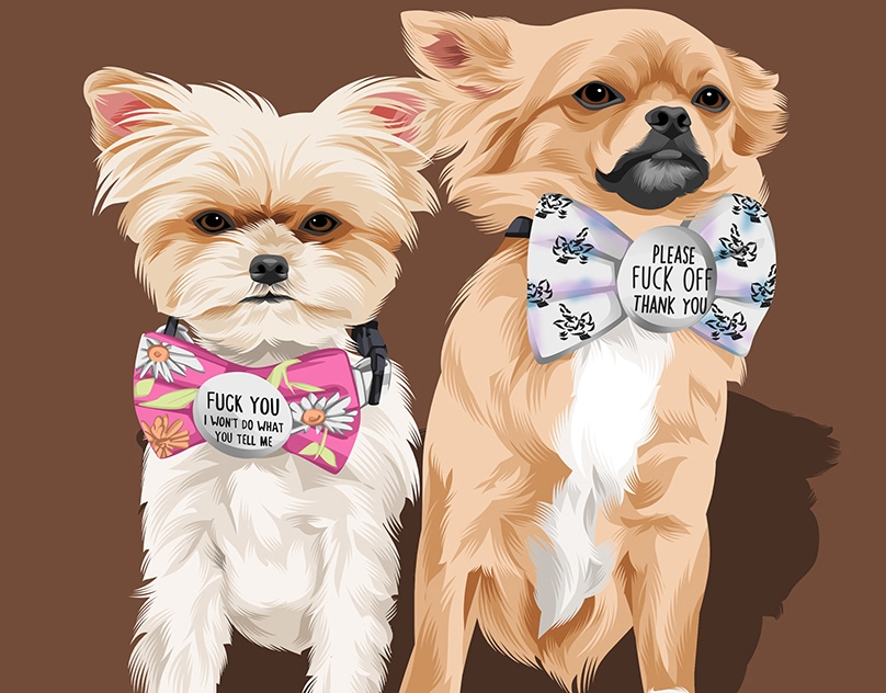 Vector-Sketch-of-Indie-and-Angel