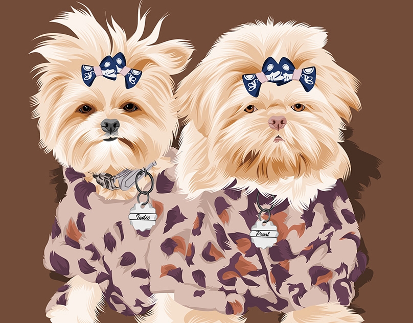 Vector-Sketch-of-Indie-and-Pearl