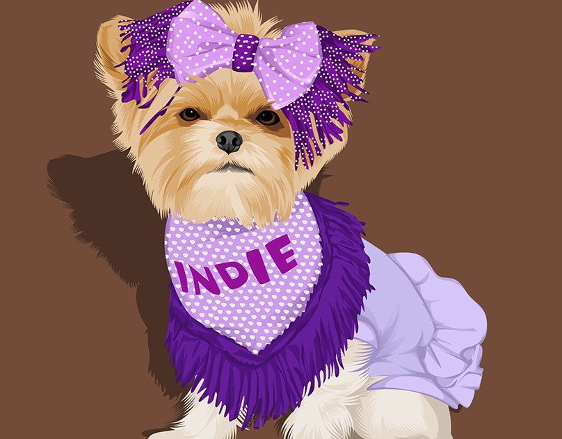 Vector-Sketch-of-Indie