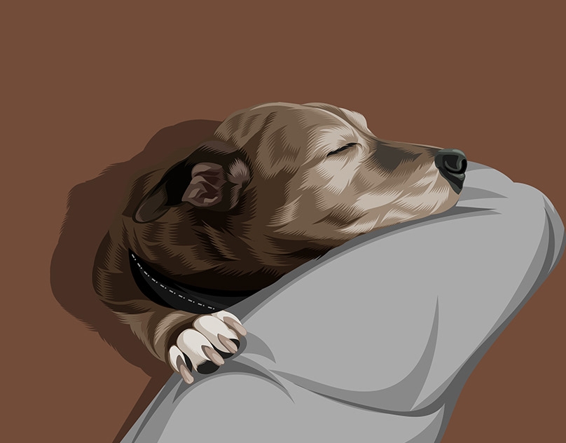 Vector-Sketch-of-Jagger