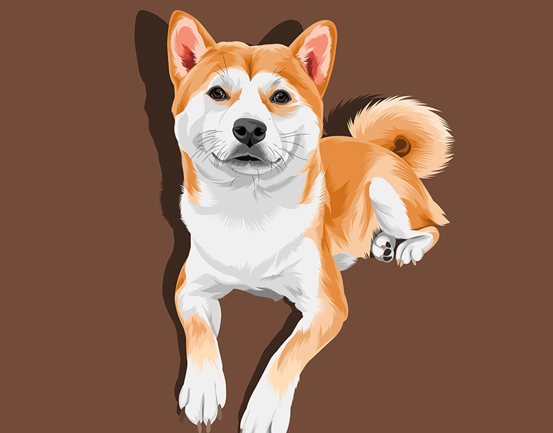 Vector-Sketch-of-Jannes