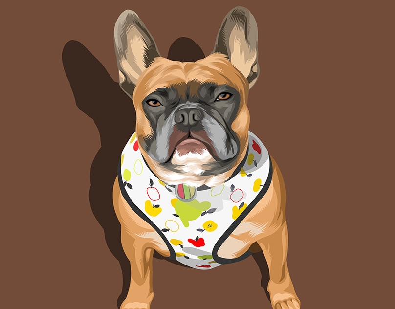 Vector-Sketch-of-Jax