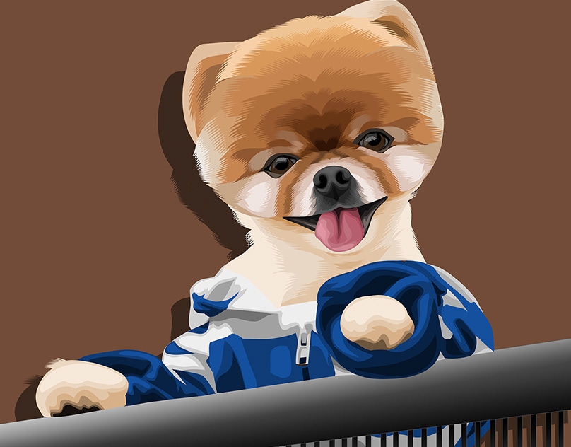 Vector-Sketch-of-JiffPom