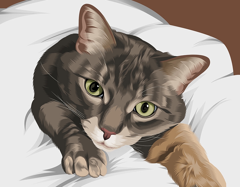 Vector-Sketch-of-Junior