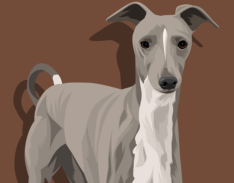 Vector-Sketch-of-Justin