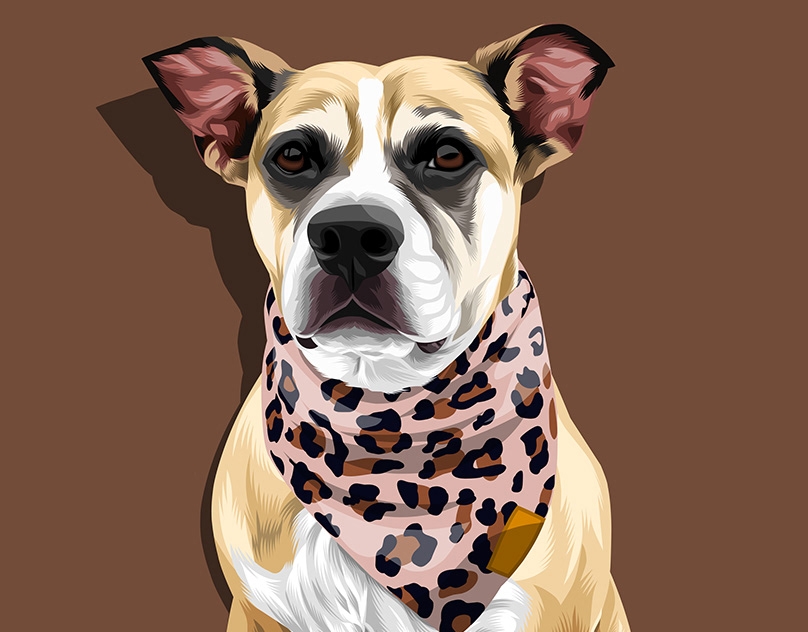 Vector-Sketch-of-Karter