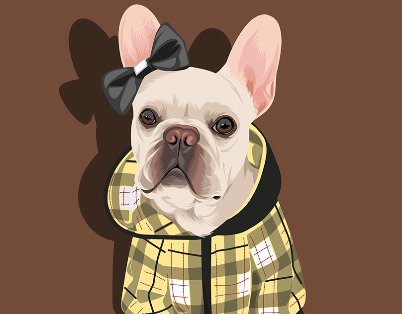 Vector-Sketch-of-Keidy