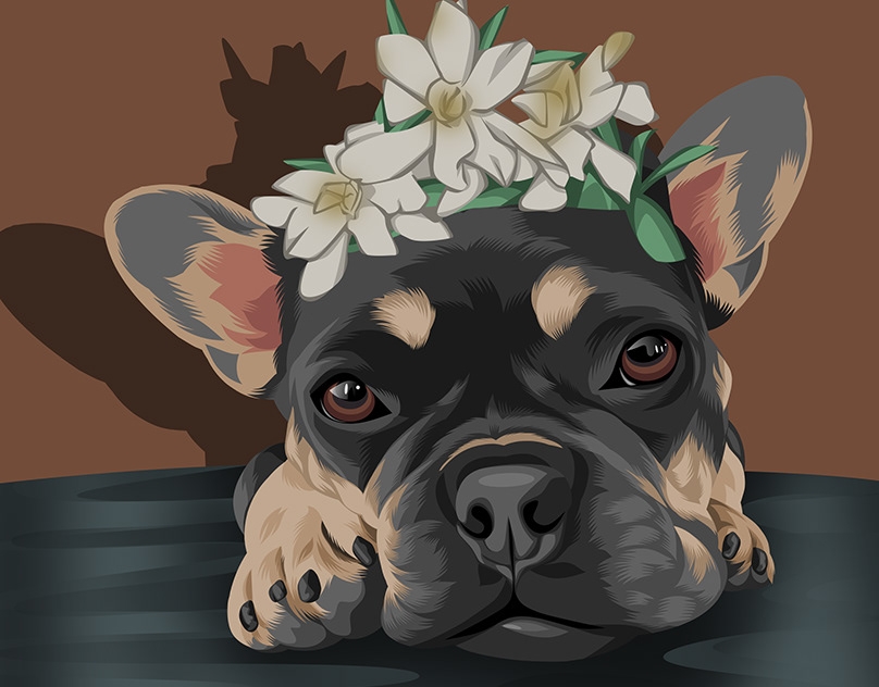 Vector-Sketch-of-Kiki