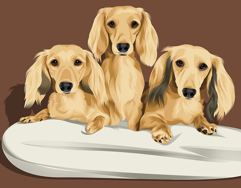 Vector-Sketch-of-Kitty-Sophie-and-Honey