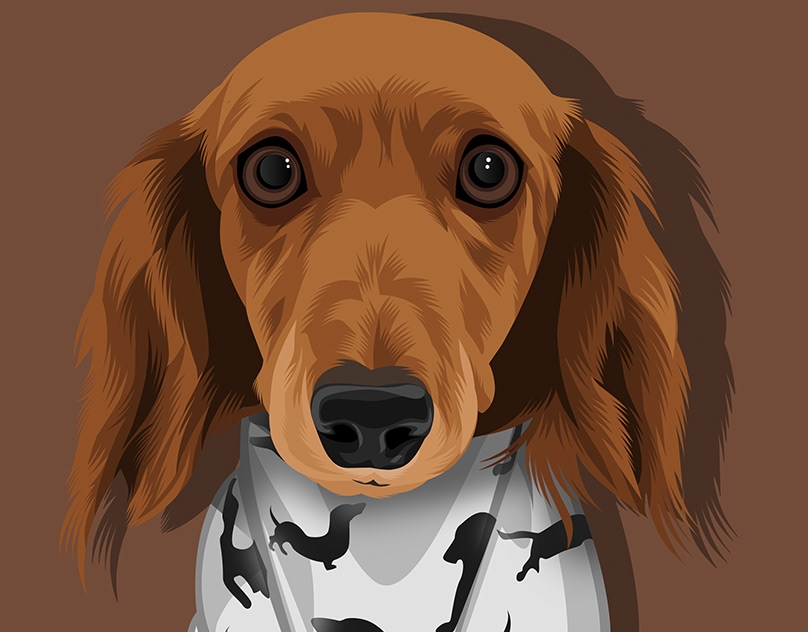 Vector-Sketch-of-Koa