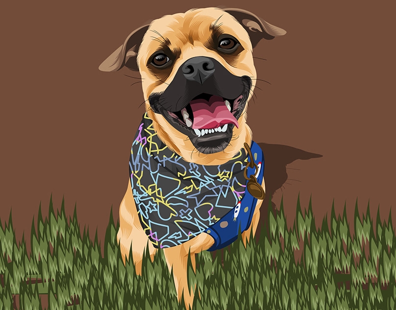 Vector-Sketch-of-Kobe