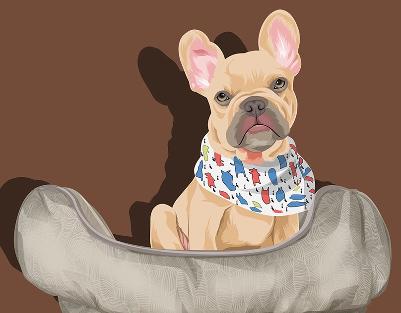 Vector-Sketch-of-Kygo