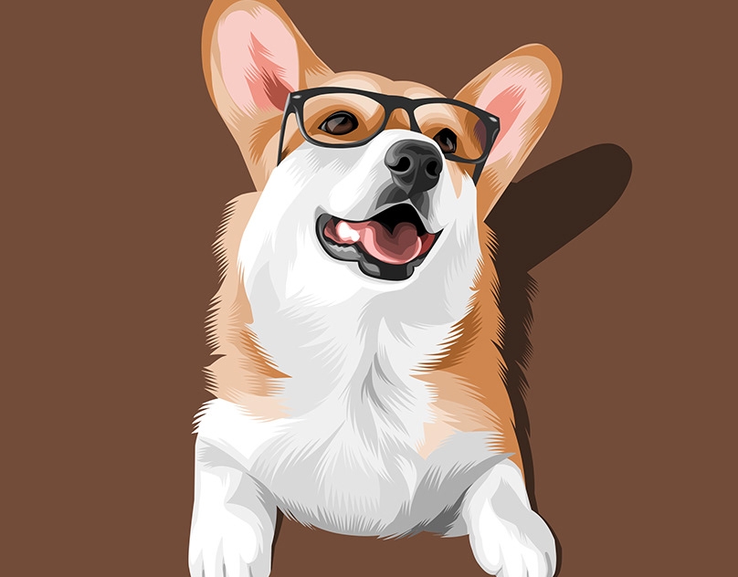 Vector-Sketch-of-Lacorgi