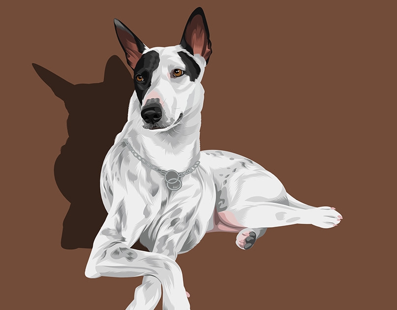 Vector-Sketch-of-Lana