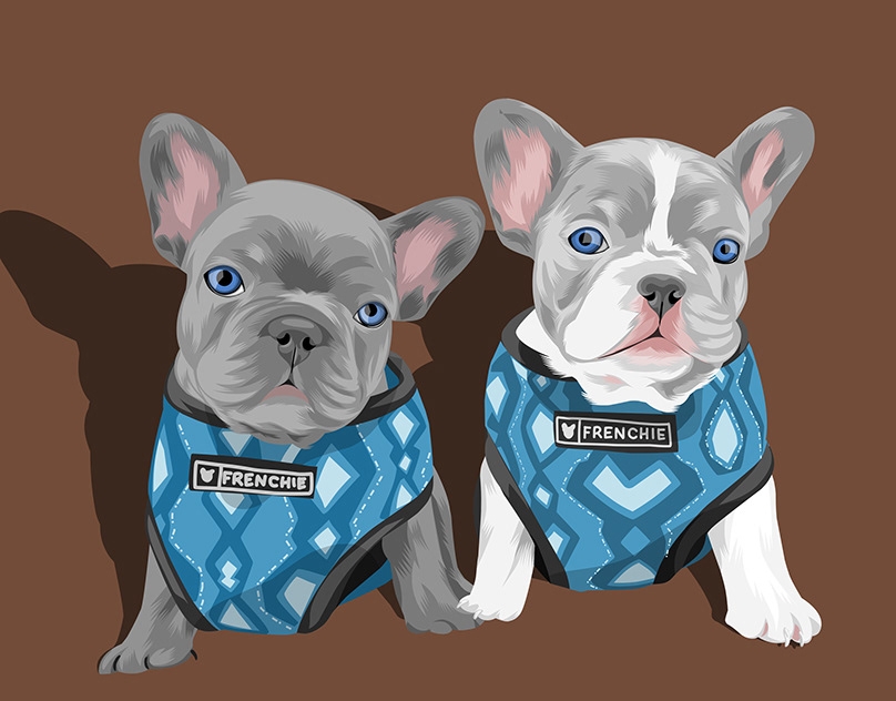 Vector-Sketch-of-Lavish