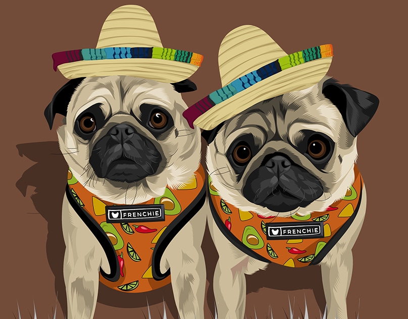 Vector-Sketch-of-Lilly-and-Lu