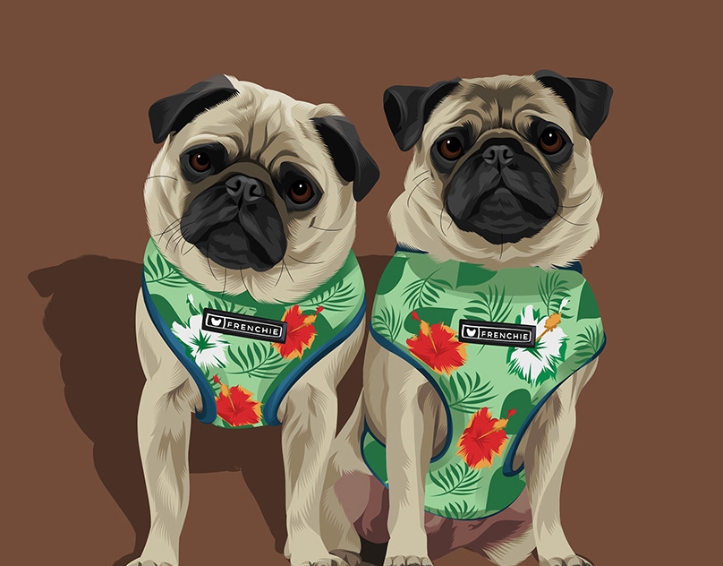 Vector-Sketch-of-Lilly-and-Lulu