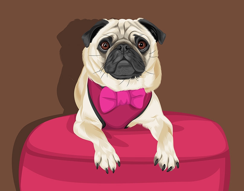 Vector-Sketch-of-Lilly