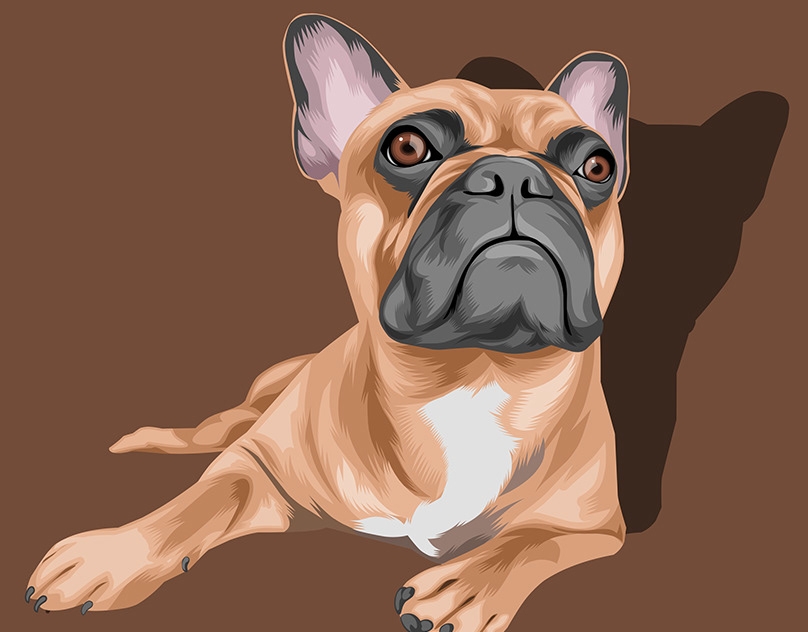 Vector-Sketch-of-Lily