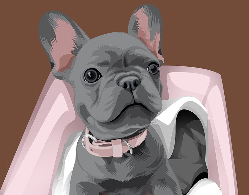 Vector-Sketch-of-Lou-Lou