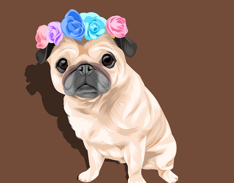 Vector-Sketch-of-LouLou