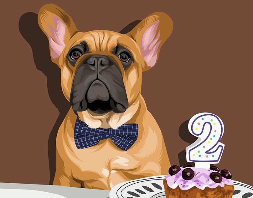 Vector-Sketch-of-Louis