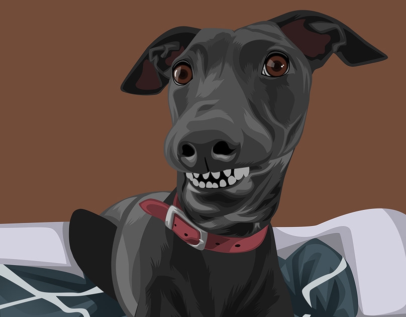 Vector-Sketch-of-Lucas