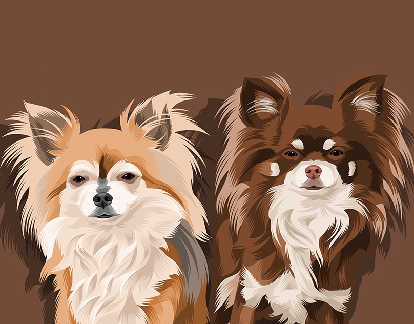 Vector-Sketch-of-Lucky-and-Chica