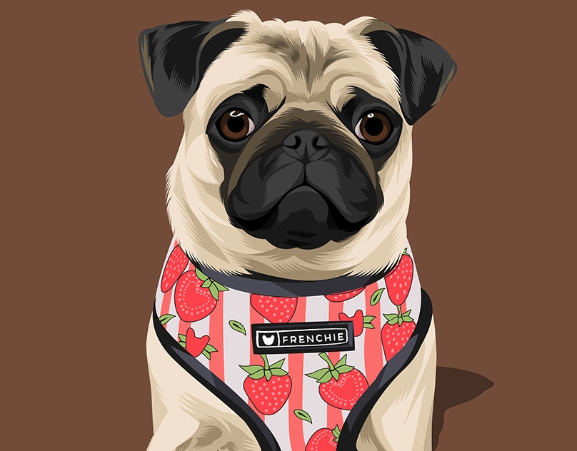 Vector-Sketch-of-Lulu