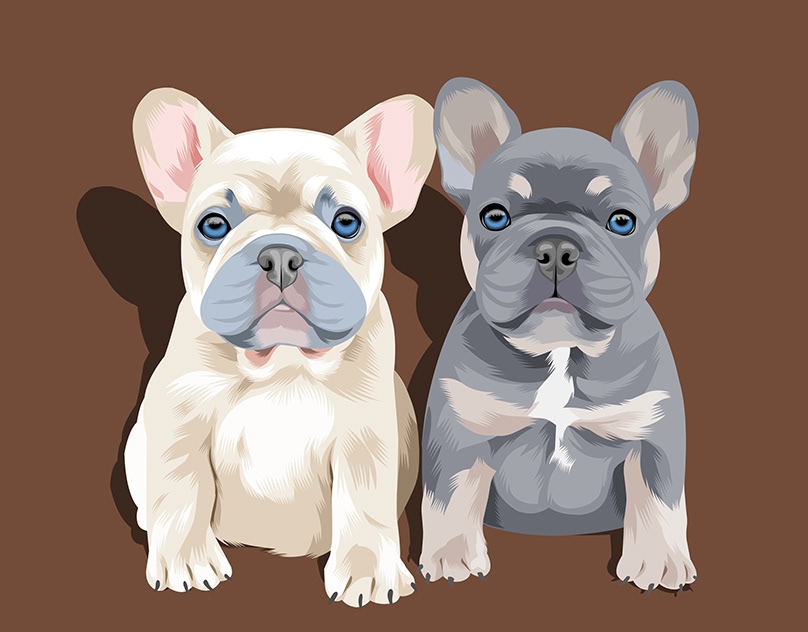 Vector-Sketch-of-Lux