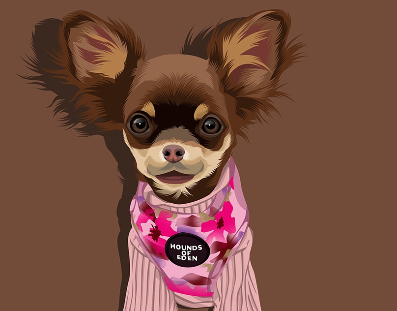 Vector-Sketch-of-Mabel