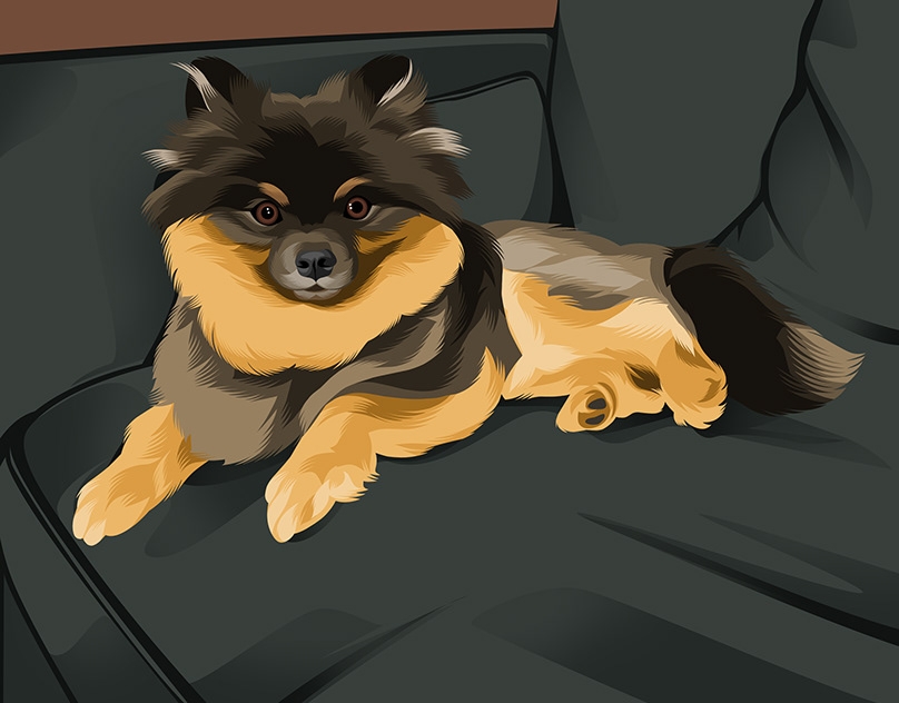 Vector-Sketch-of-Mando