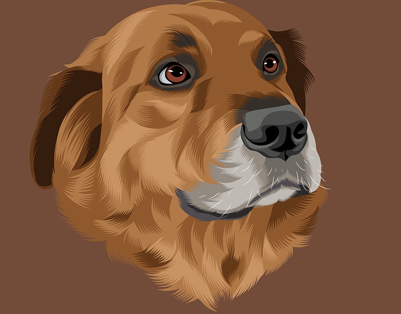 Vector-Sketch-of-Mango