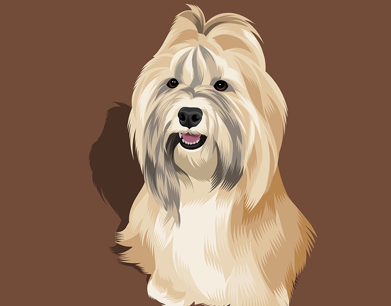 Vector-Sketch-of-Maple