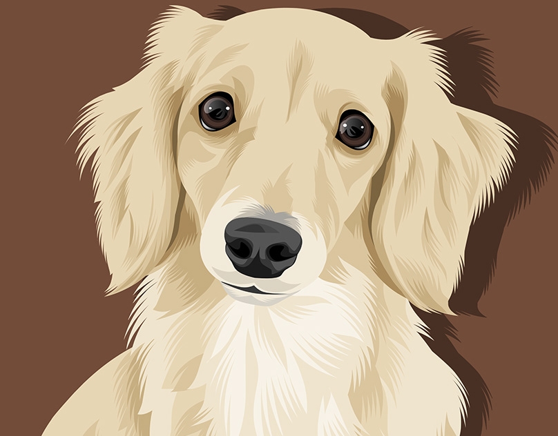 Vector-Sketch-of-Maribow