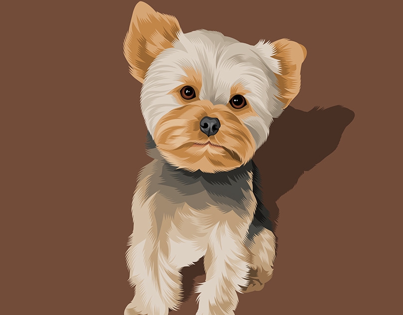 Vector-Sketch-of-Max