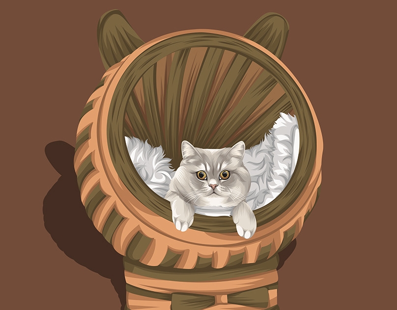 Vector-Sketch-of-Meeko