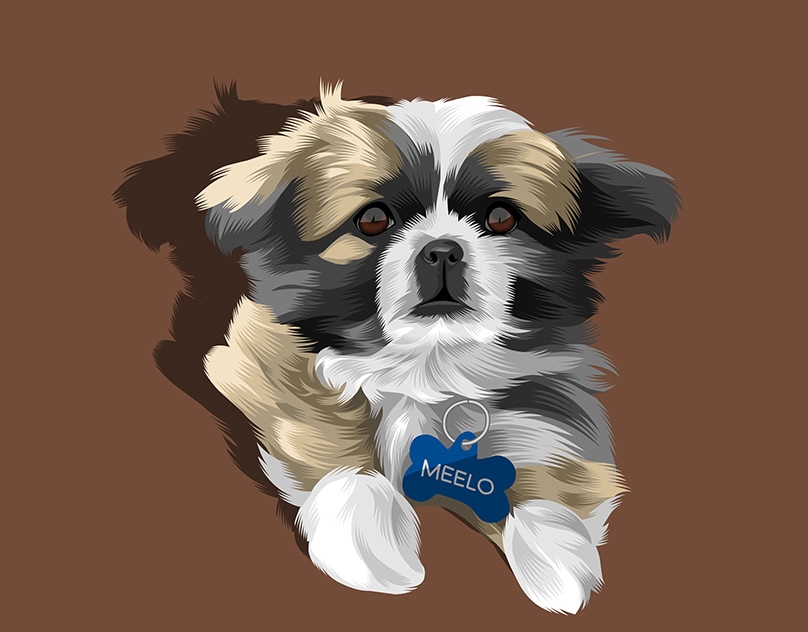 Vector-Sketch-of-Meelo
