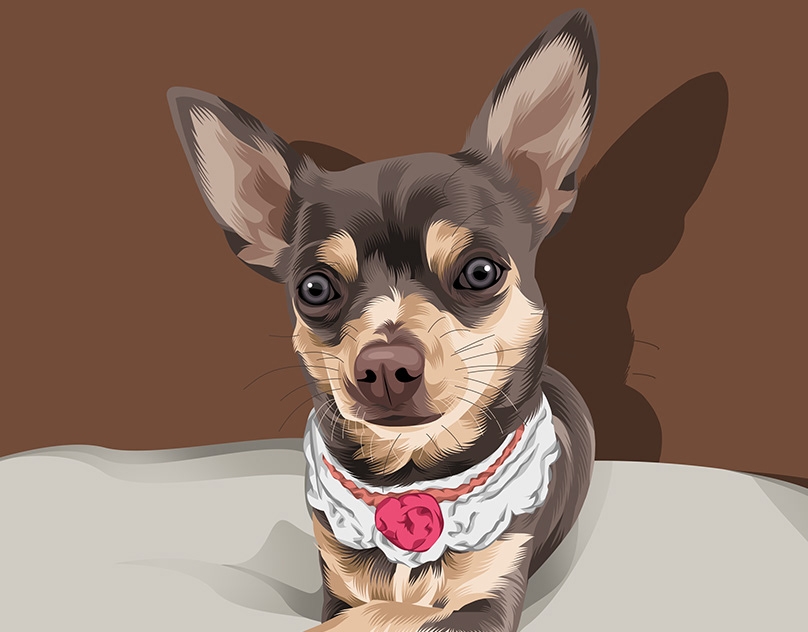 Vector-Sketch-of-Mila