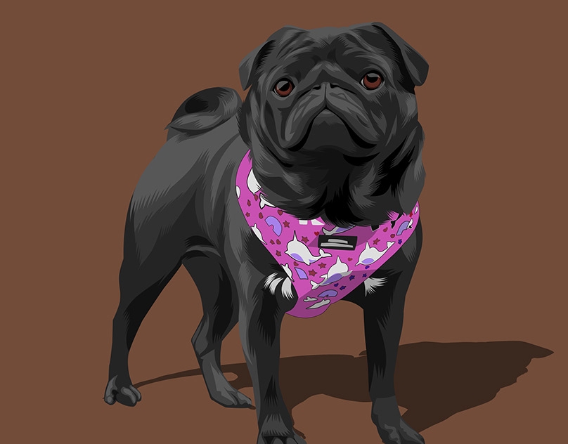 Vector-Sketch-of-Miss-Pearly